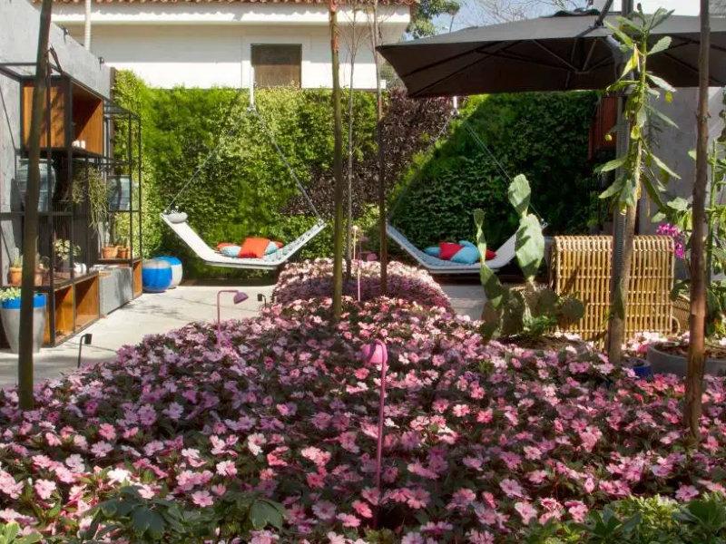 5 espécies de flores de fácil cultivo para se ter em casa